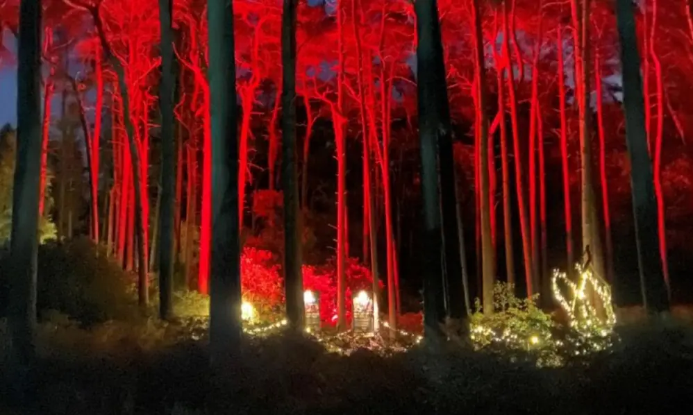 Half Price Silver Entry for Adults into Dreamery Gardens and Museum