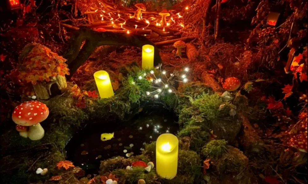 Half Price Silver Entry for Adults into Dreamery Gardens and Museum